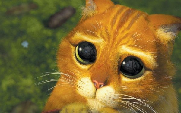 Открытки с извинениями