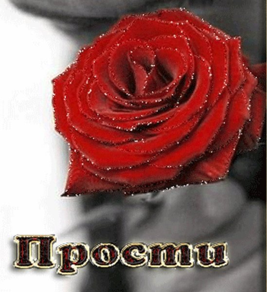 Прости меня пожалуйста
