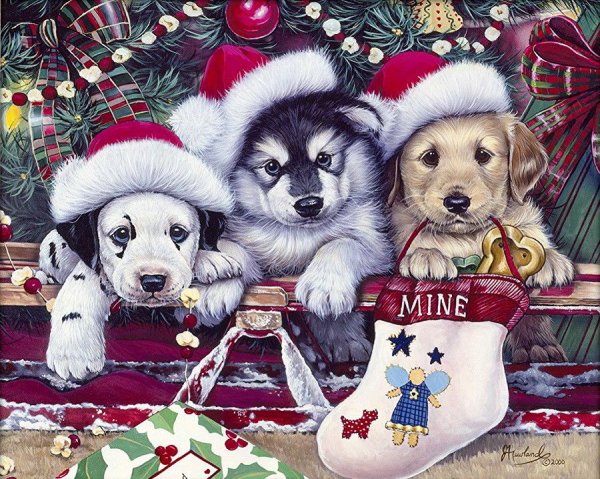 Собачка новый год