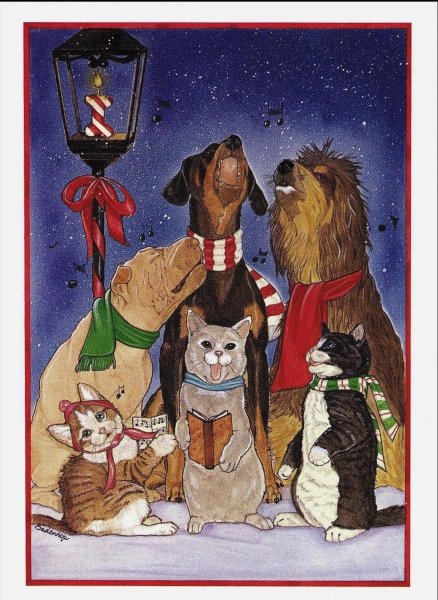 Новогодние коты и собаки