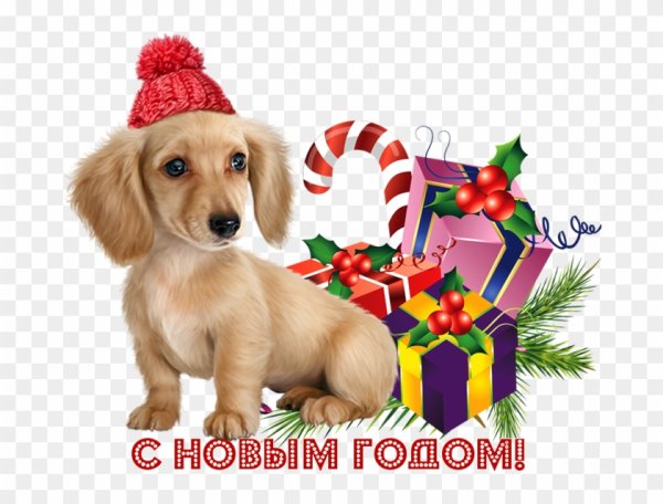 Новогодняя собака