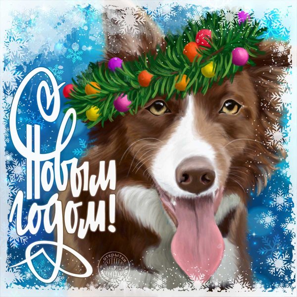 Новогодние открытки с собаками