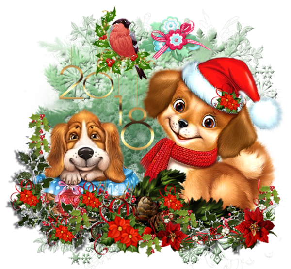 С новым годом собака