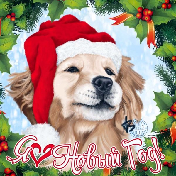 Открытка на новый год с собакой