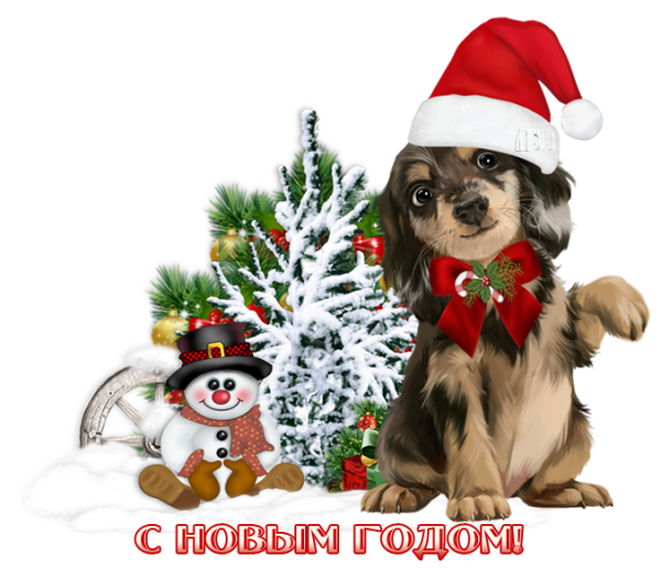 Новогодняя собака
