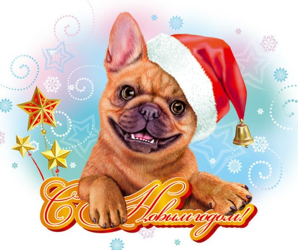 Французский бульдог с новым годом