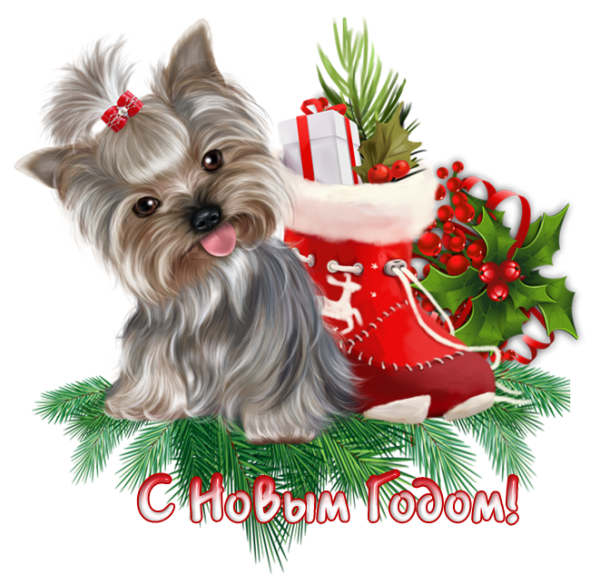 Новогодние открытки с йорками