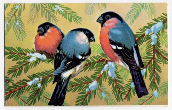 Советские открытки со снегирями