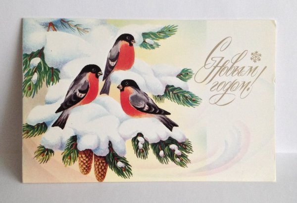 Новогодние открытки со снегирями