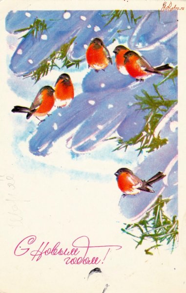 Новогодние открытки со снегирями