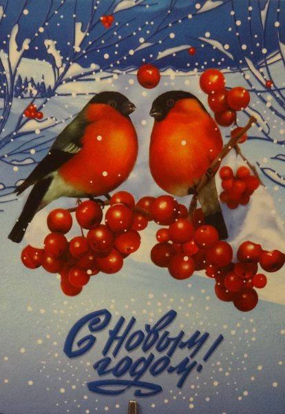 Новогодняя открытка со снигирям