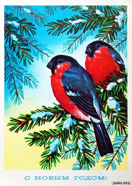 Снегири на ветке