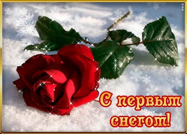 Открытки с первым снегом