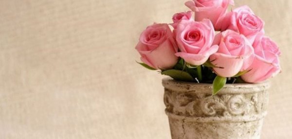 С днем рождения