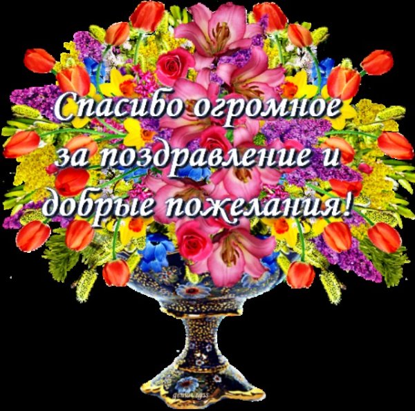 Спасибо за поздравления