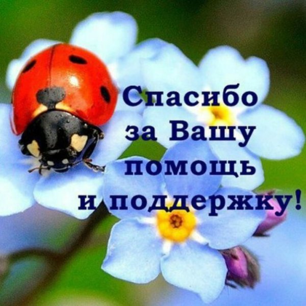 Спасибо за поддержку