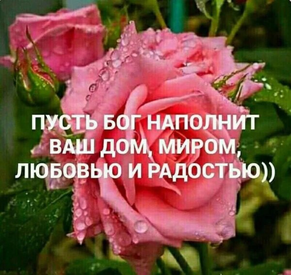 Божьих благословений вам