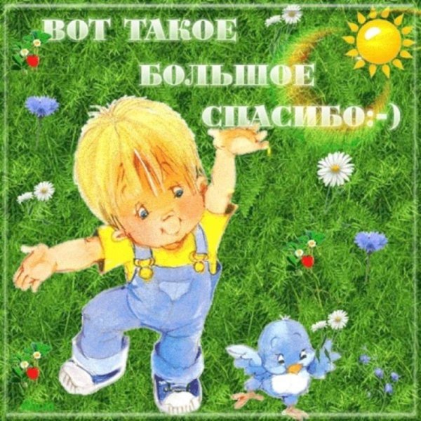 Спасибо за помощь