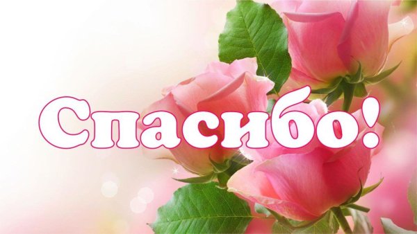 Спасибо за поддержку