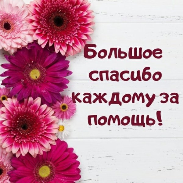 Благодарю за поддержку