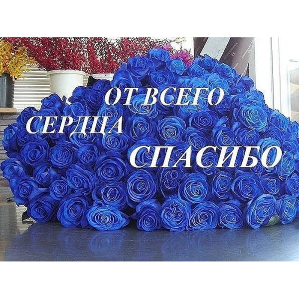 Спасибо за ваше доброе сердце