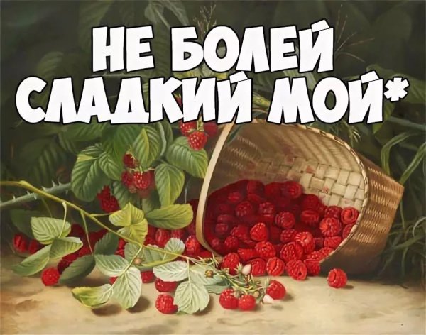 Не болей любимый