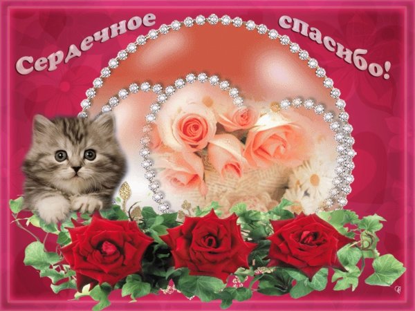 Спасибо за поздравления