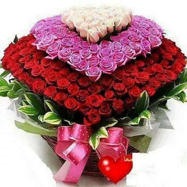 Самый красивый букет роз