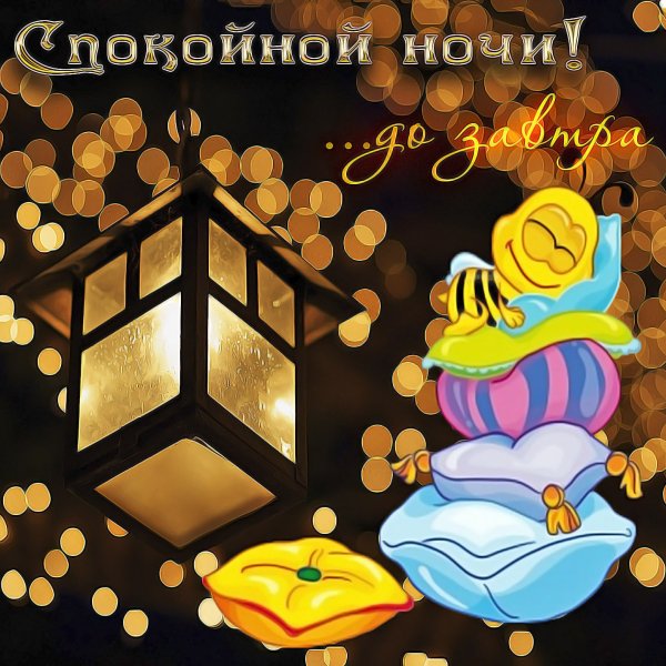 Спокойной ночи друзья