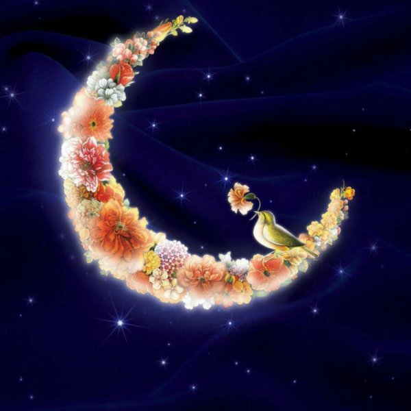 Спокойной ночи сладких снов