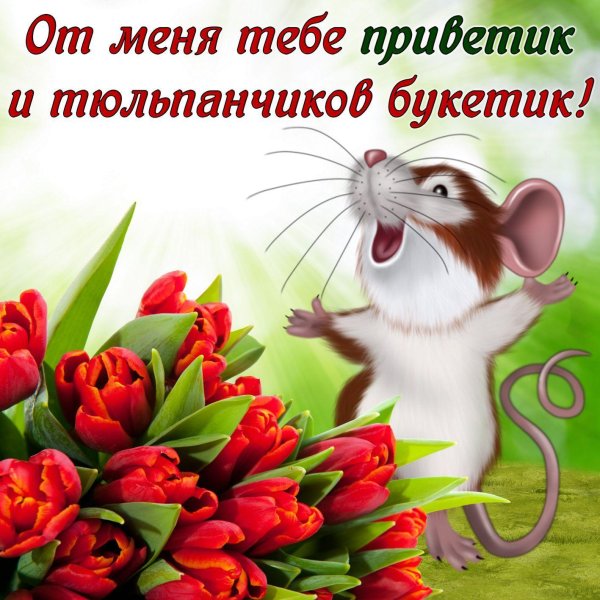 Открытки с приветом и пожеланиями