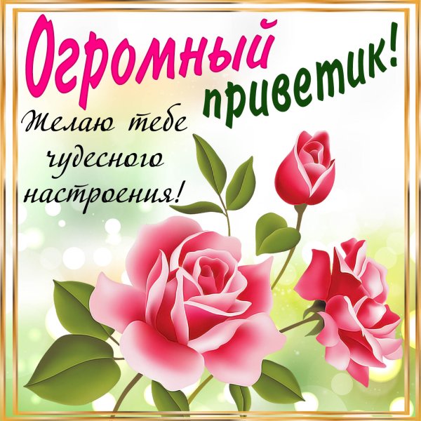 Приветик картинки