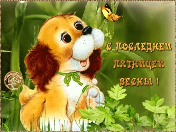 Приветик картинки