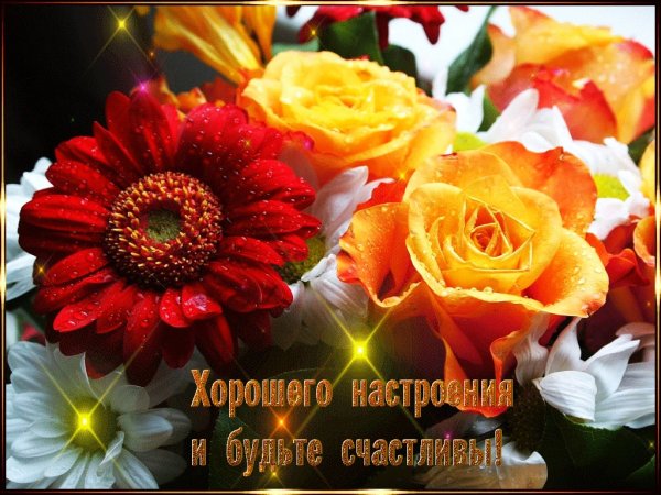 Желаю счастья и яркого настроения