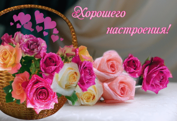 Хорошего настроения цветы
