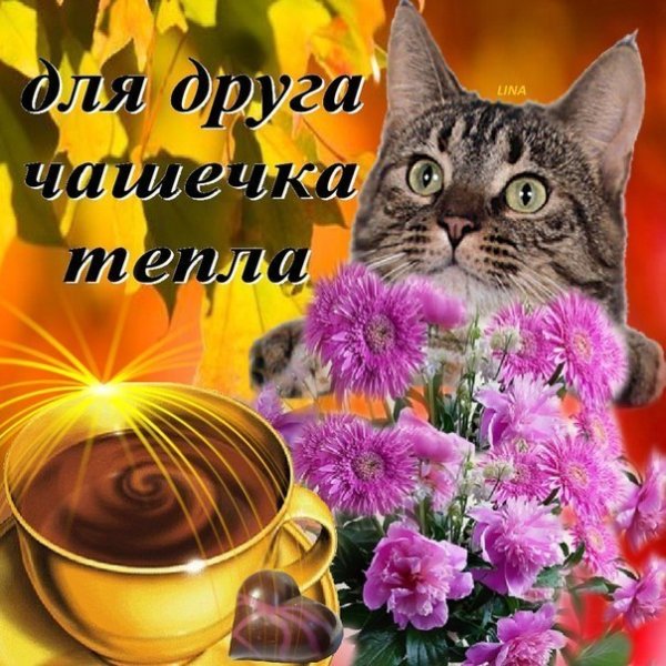 Открытки с теплыми пожеланиями