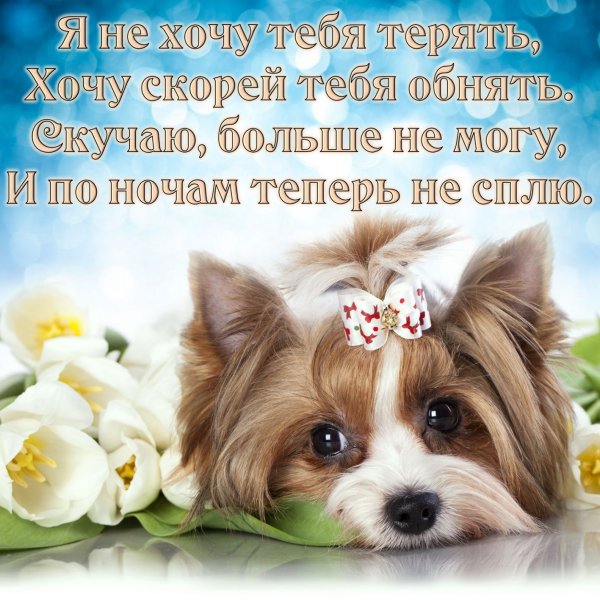 Скучаю картинки