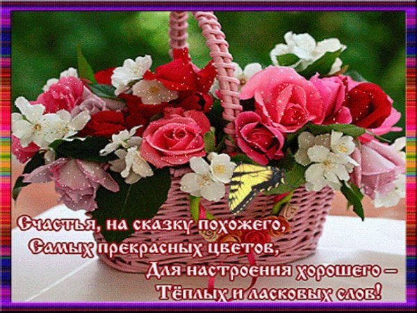 Красивые цветы с пожеланиями