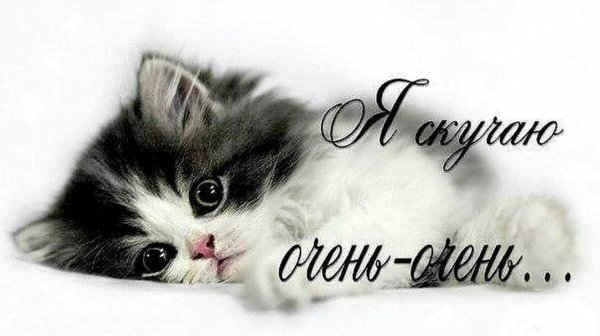 Соскучилась очень