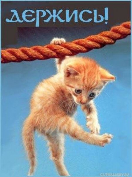 Открытка держись