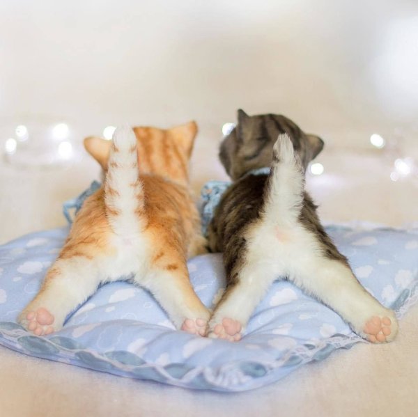 Открытки не унывать