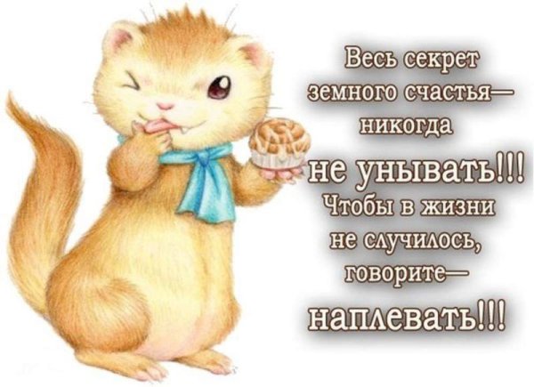 В любой ситуации держи хвост пистолетом