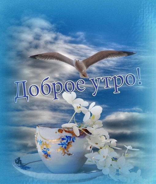 Открытки с добрым мирным утром