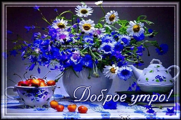 Добрый вечер васильки с пожеланиями