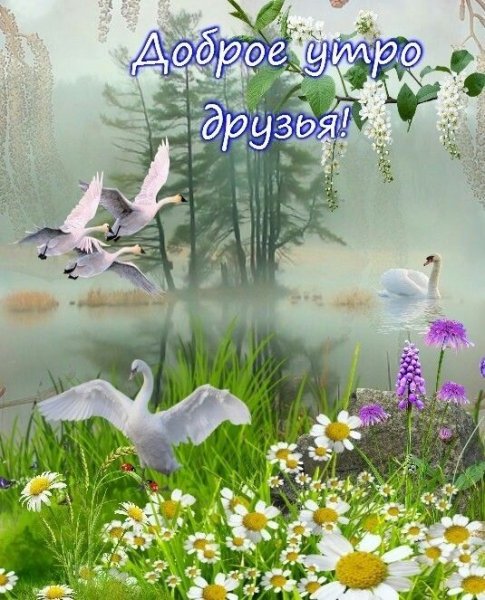 Благословенного утра и прекрасного дня