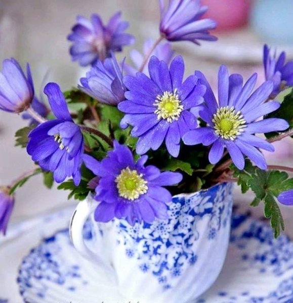 Радости в новом дне с добрым утром