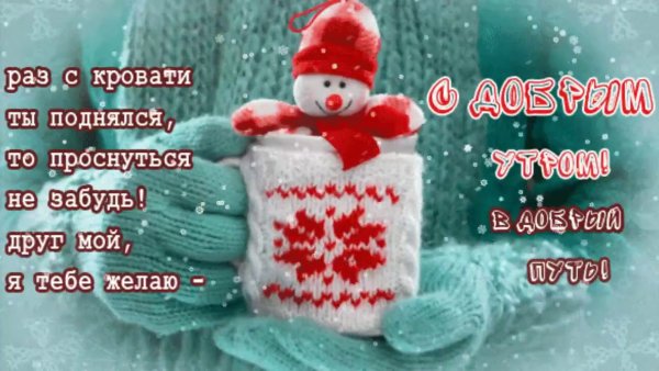 Смешные зимние пожелания с добрым утром