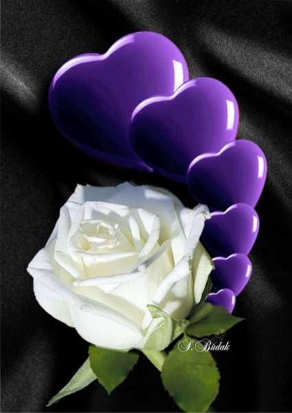 Цветы сердце