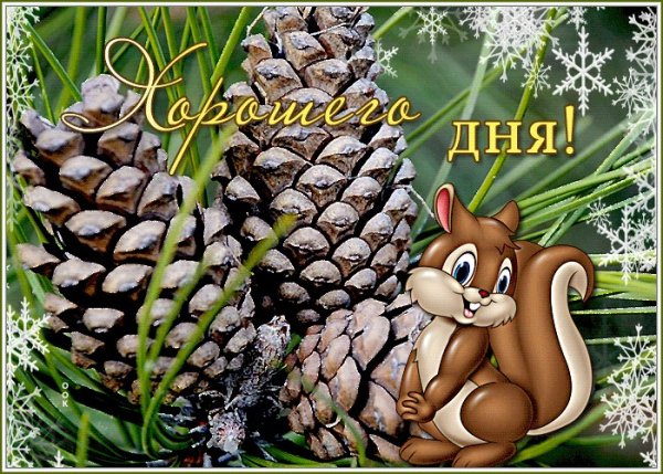 Теплого зимнего дня