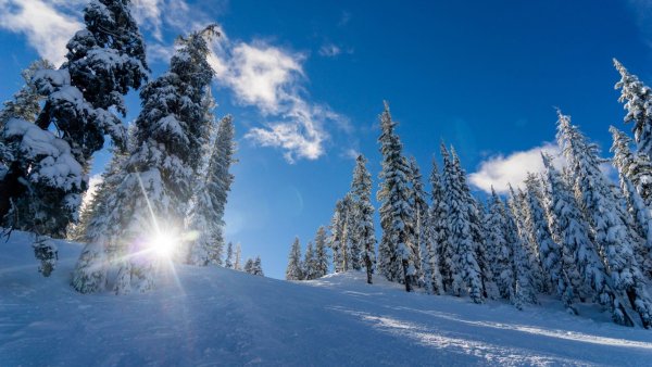 Красивая зима